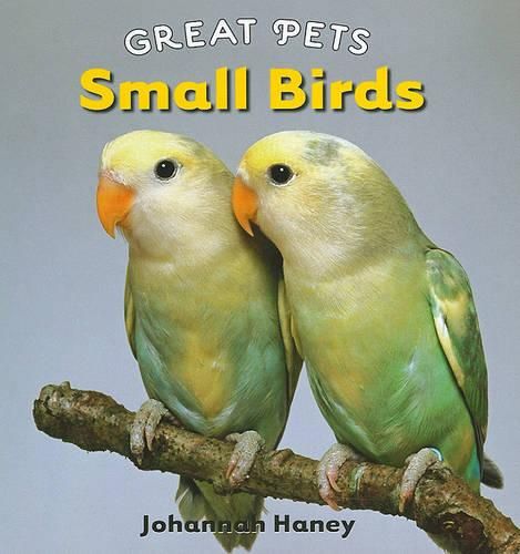 Cover image for Small Birds