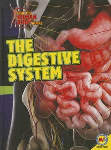 Cover image for Digestive System
