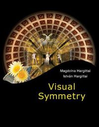 Cover image for Visual Symmetry