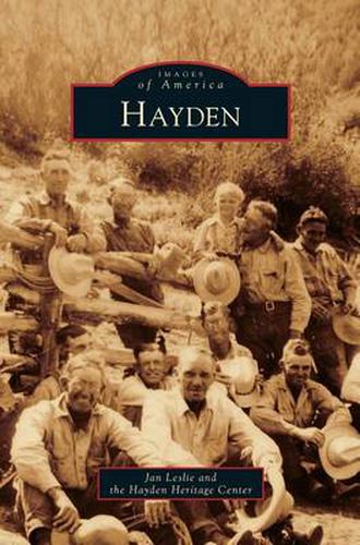 Cover image for Hayden