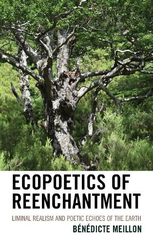 Cover image for Ecopoetics of Reenchantment