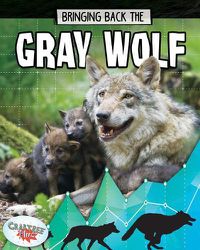 Cover image for Bringing Back the Gray Wolf