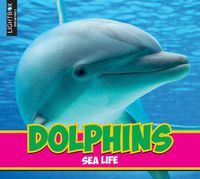 Cover image for Dolphins