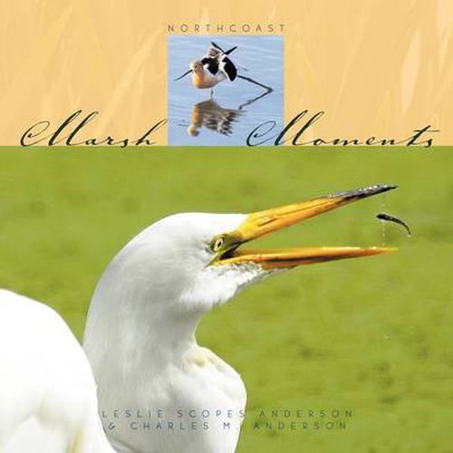 Cover image for Marsh Moments