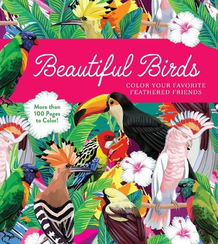 Cover image for Beautiful Birds