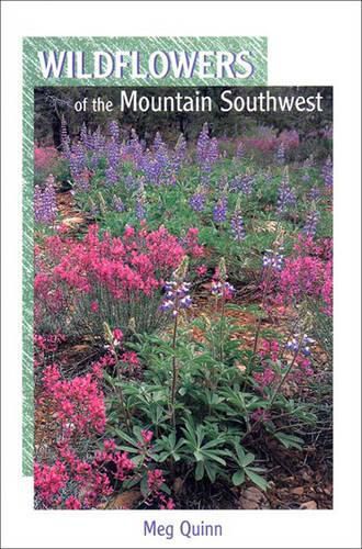 Cover image for Wildflowers of the Mountain Southwest