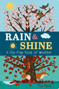 Cover image for Rain & Shine: A Flip-Flap Book of Weather