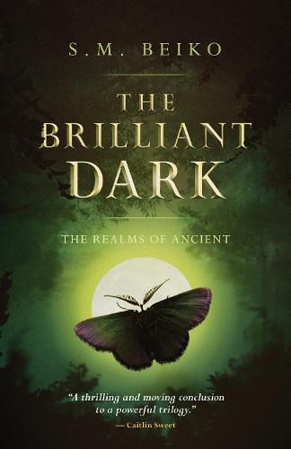 The Brilliant Dark: The Realms of Ancient