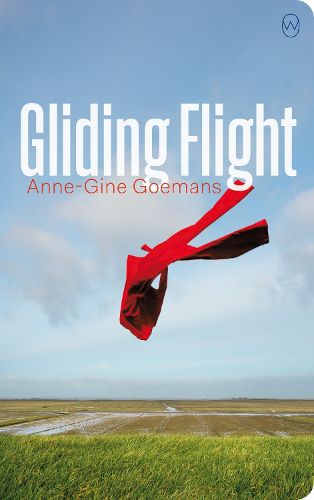 Cover image for Gliding Flight