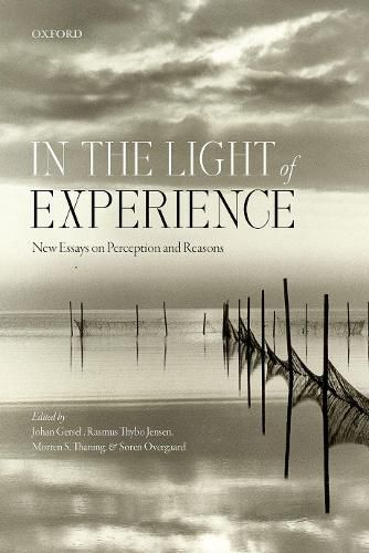 Cover image for In the Light of Experience: New Essays on Perception and Reasons