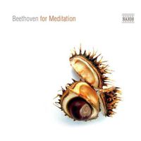 Cover image for Beethoven For Meditation