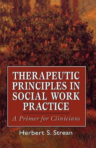 Cover image for Therapeutic Principles in Social Work Practice: A Primer for Clinicians