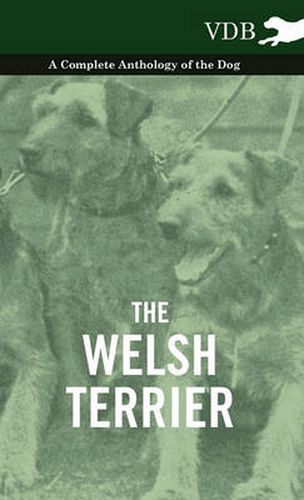 Cover image for The Welsh Terrier - A Complete Anthology of the Dog