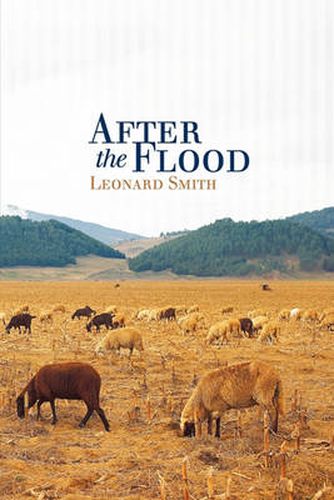 Cover image for After the Flood