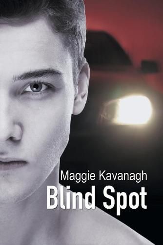 Cover image for Blind Spot