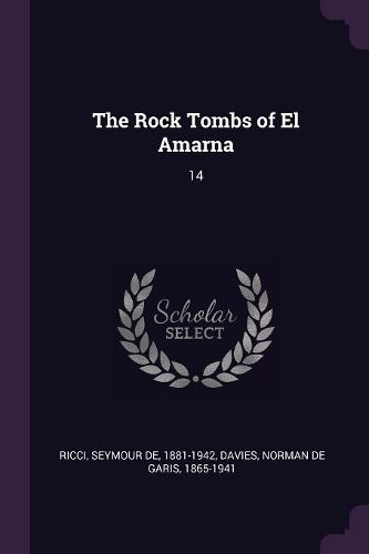Cover image for The Rock Tombs of El Amarna