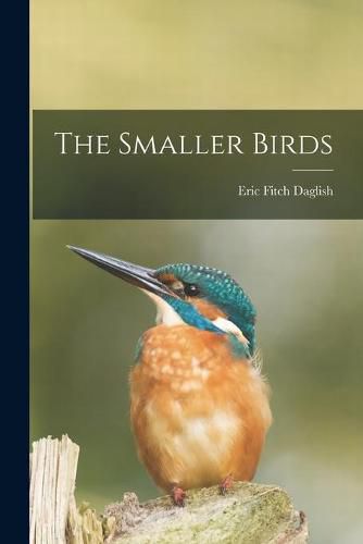 Cover image for The Smaller Birds
