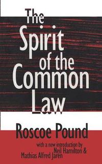 Cover image for The Spirit of the Common Law