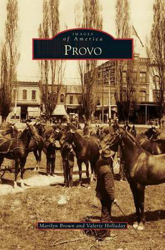 Cover image for Provo