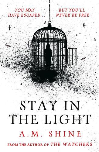 Cover image for Stay in the Light