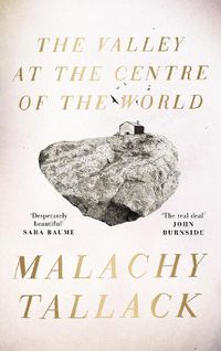 Cover image for The Valley at the Centre of the World