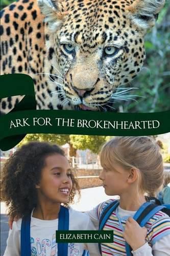 Cover image for Ark for the Brokenhearted