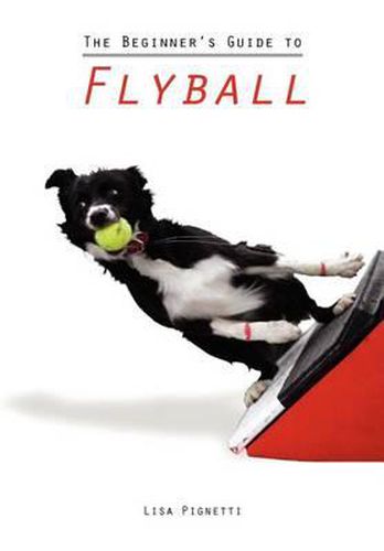 Cover image for The Beginner's Guide to Flyball