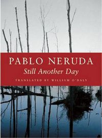 Cover image for Still Another Day
