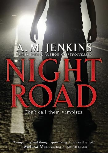 Cover image for Night Road