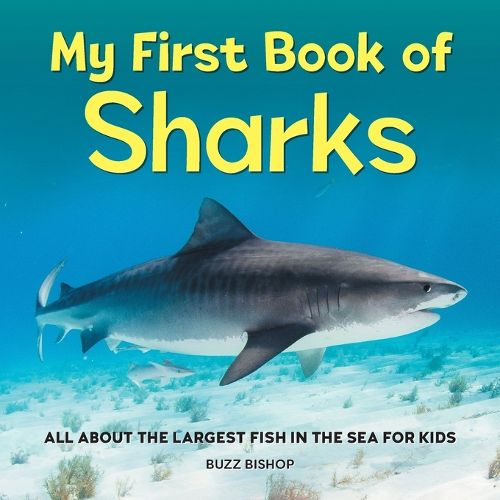 Cover image for My First Book of Sharks: All about the Largest Fish in the Sea for Kids