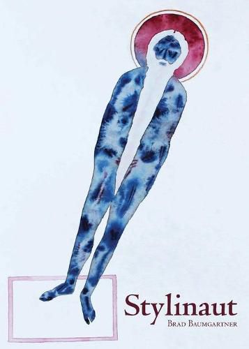 Cover image for Stylinaut