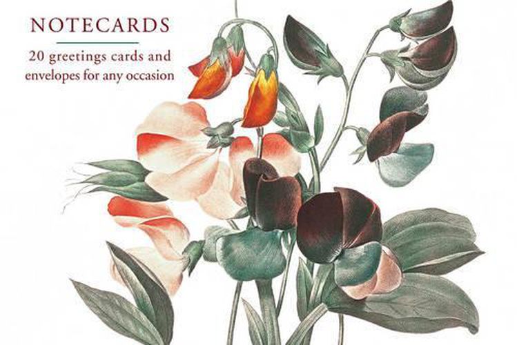 Cover image for Card Box of 20 Notecards and Envelopes: Sweetpea