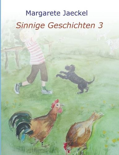 Cover image for Sinnige Geschichten 3