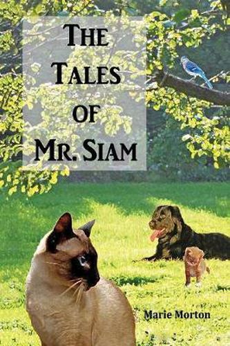 Cover image for The Tales of Mr. Siam