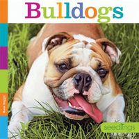 Cover image for Bulldogs