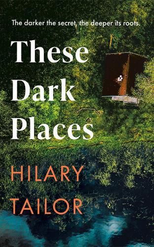 Cover image for These Dark Places