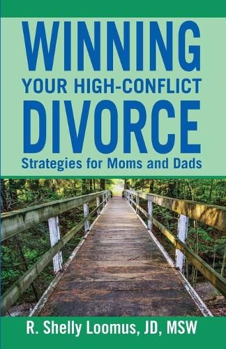 Cover image for Winning Your High-Conflict Divorce