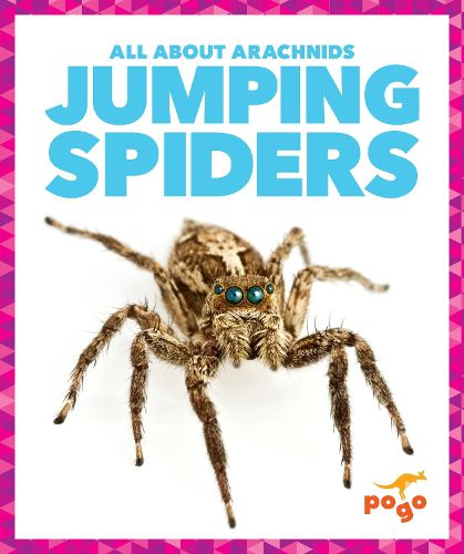 Cover image for Jumping Spiders