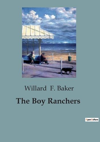 Cover image for The Boy Ranchers
