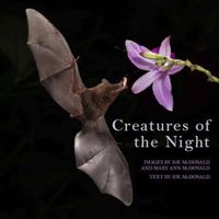 Cover image for Creatures of the Night