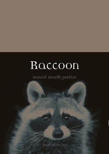Cover image for Raccoon