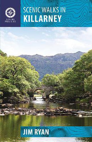 Cover image for Scenic Walks in Killarney