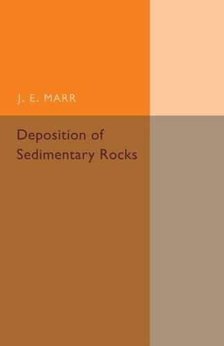 Cover image for Deposition of the Sedimentary Rocks