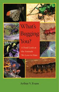 Cover image for What's Bugging You?: A Fond Look at the Animals We Love to Hate