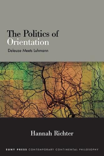 Cover image for The Politics of Orientation