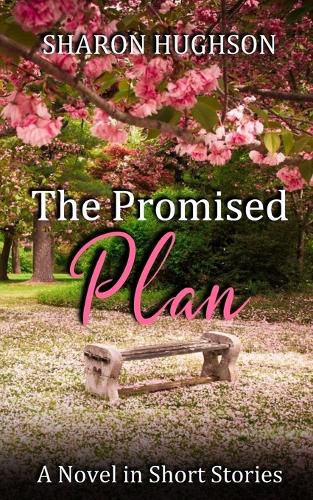 Cover image for The Promised Plan