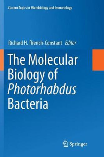Cover image for The Molecular Biology of Photorhabdus Bacteria