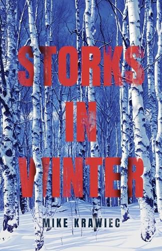 Cover image for Storks in Winter