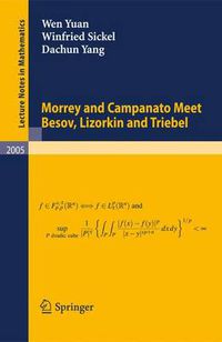 Cover image for Morrey and Campanato Meet Besov, Lizorkin and Triebel