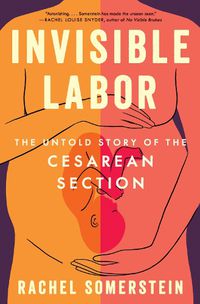 Cover image for Invisible Labor